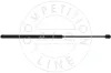Gasfeder, Koffer-/Laderaum beidseitig AIC 53889