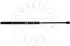 Gasfeder, Koffer-/Laderaum hinten AIC 53895