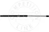 Gasfeder, Koffer-/Laderaum hinten AIC 53901
