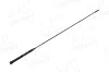 Antenne AIC 53911