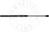 Gasfeder, Koffer-/Laderaum beidseitig AIC 54004