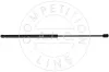 Gasfeder, Koffer-/Laderaum beidseitig AIC 54008