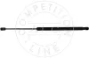 Gasfeder, Koffer-/Laderaum AIC 54139