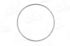 Sensorring, ABS Vorderachse beidseitig AIC 54206 Bild Sensorring, ABS Vorderachse beidseitig AIC 54206
