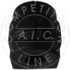Lagerung, Stabilisator Vorderachse beidseitig AIC 54240