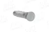 Radbolzen AIC 54537 Bild Radbolzen AIC 54537