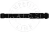Stoßdämpfer Hinterachse AIC 55279