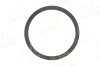 Sensorring, ABS Hinterachse beidseitig AIC 55332 Bild Sensorring, ABS Hinterachse beidseitig AIC 55332