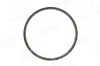 Sensorring, ABS Hinterachse beidseitig AIC 55412 Bild Sensorring, ABS Hinterachse beidseitig AIC 55412