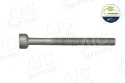 Schraube, Einspritzdüsenhalter AIC 57984