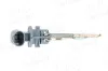Sensor, Kühlmittelstand AIC 58216 Bild Sensor, Kühlmittelstand AIC 58216