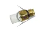 Luftfeder, Fahrwerk Hinterachse links Hinterachse rechts AIC 71037 Bild Luftfeder, Fahrwerk Hinterachse links Hinterachse rechts AIC 71037