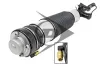 Luftfederbein Vorderachse rechts AIC 71042 Bild Luftfederbein Vorderachse rechts AIC 71042