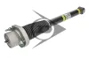 Luftfederbein Hinterachse links Hinterachse rechts AIC 71156 Bild Luftfederbein Hinterachse links Hinterachse rechts AIC 71156