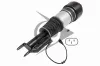 Luftfederbein Vorderachse links AIC 71187 Bild Luftfederbein Vorderachse links AIC 71187