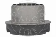 Lagerung, Lenker Vorderachse unten AIC 71555