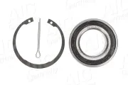 Radlagersatz Hinterachse AIC 73241