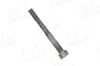 Schraube, Kipphebelwelle AIC 73993 Bild Schraube, Kipphebelwelle AIC 73993