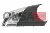 Blinkleuchte Außenspiegel rechts AIC 75019