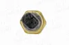 Sensor, Kraftstoffdruck AIC 75555 Bild Sensor, Kraftstoffdruck AIC 75555
