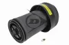 Luftfeder, Fahrwerk Hinterachse links Hinterachse rechts AIC 75699