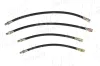 Bremsschlauchsatz Vorderachse links Vorderachse rechts Hinterachse links Hinterachse rechts AIC 76077Set