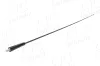 Antenne AIC 76456 Bild Antenne AIC 76456