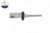 Sensor, Innenraumtemperatur Luftkanal AIC 77831 Bild Sensor, Innenraumtemperatur Luftkanal AIC 77831