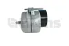 Riemenspanner, Keilrippenriemen Litens 950008 Bild Riemenspanner, Keilrippenriemen Litens 950008