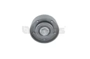 Umlenk-/Führungsrolle, Keilrippenriemen Litens 951519