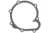 Dichtung, Wasserpumpe ENGITECH ENT010257