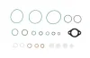 Dichtungssatz, Einspritzpumpe ENGITECH ENT210011