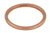 Dichtung, D&uuml;senhalter ENGITECH ENT250488/1