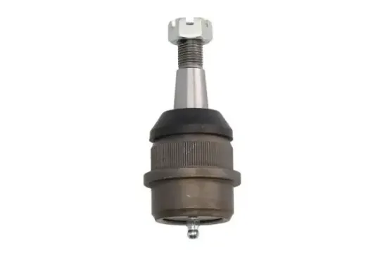 Trag-/Führungsgelenk Vorderachse REINHOCH RH03-6001 Bild Trag-/Führungsgelenk Vorderachse REINHOCH RH03-6001
