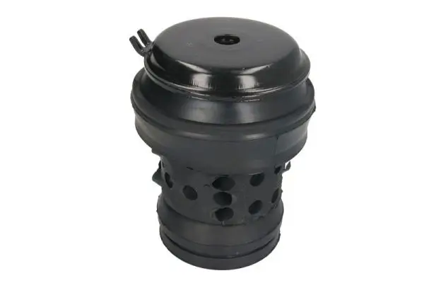 Lagerung, Motor vorne REINHOCH RH11-0005