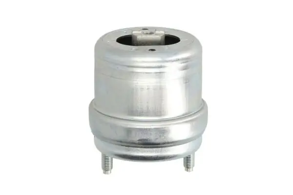 Lagerung, Motor rechts REINHOCH RH11-0054