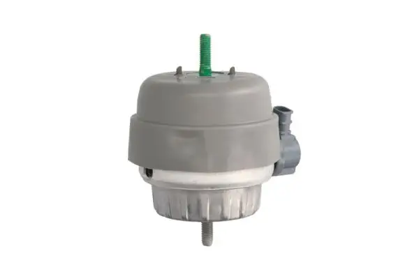 Lagerung, Motor Vorderachse links REINHOCH RH11-0056