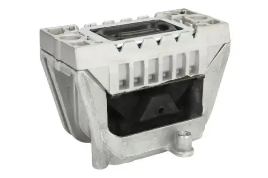 Lagerung, Motor rechts REINHOCH RH11-0068 Bild Lagerung, Motor rechts REINHOCH RH11-0068