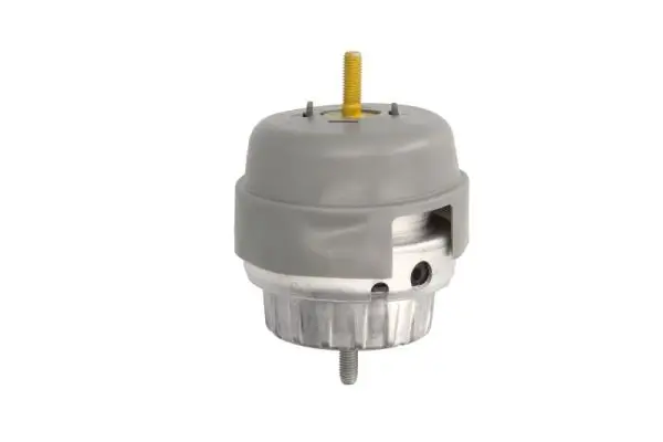 Lagerung, Motor rechts REINHOCH RH11-0069