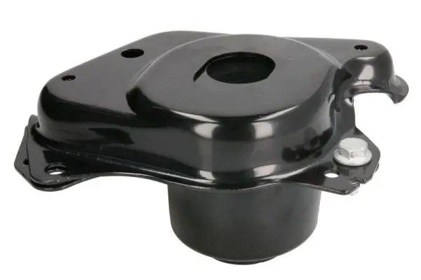 Lagerung, Motor rechts REINHOCH RH11-0098