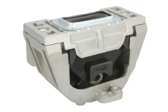 Lagerung, Motor rechts REINHOCH RH11-0118 Bild Lagerung, Motor rechts REINHOCH RH11-0118