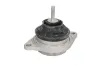 Lagerung, Motor links rechts Vorderachse REINHOCH RH11-0120