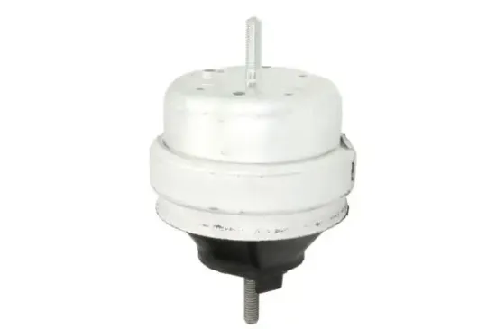 Lagerung, Motor beidseitig REINHOCH RH11-0124 Bild Lagerung, Motor beidseitig REINHOCH RH11-0124