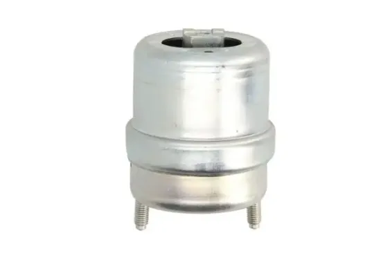 Lagerung, Motor rechts REINHOCH RH11-0129 Bild Lagerung, Motor rechts REINHOCH RH11-0129