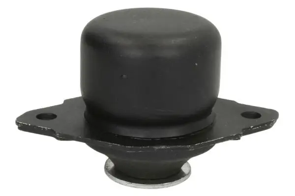 Lagerung, Motor vorne rechts REINHOCH RH11-0152