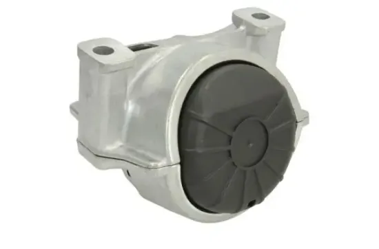 Lagerung, Motor beidseitig REINHOCH RH11-0135 Bild Lagerung, Motor beidseitig REINHOCH RH11-0135