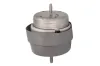Lagerung, Motor beidseitig REINHOCH RH11-0159 Bild Lagerung, Motor beidseitig REINHOCH RH11-0159