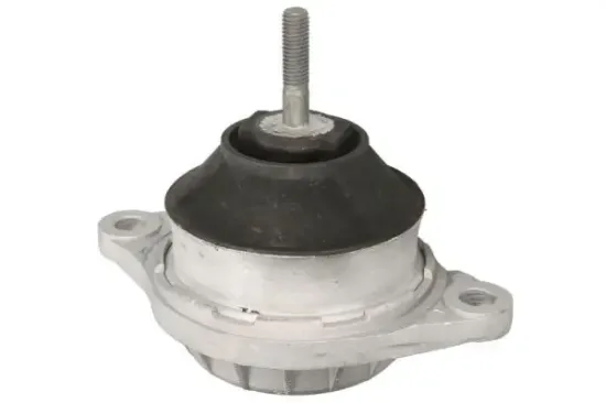 Lagerung, Motor hinten REINHOCH RH11-1027 Bild Lagerung, Motor hinten REINHOCH RH11-1027