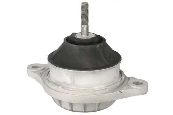 Lagerung, Motor rechts Vorderachse links REINHOCH RH11-0183