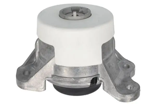 Lagerung, Motor rechts Vorderachse REINHOCH RH11-0188